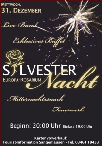 silvester 2014 sangerhausen