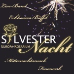 silvester 2014 sangerhausen